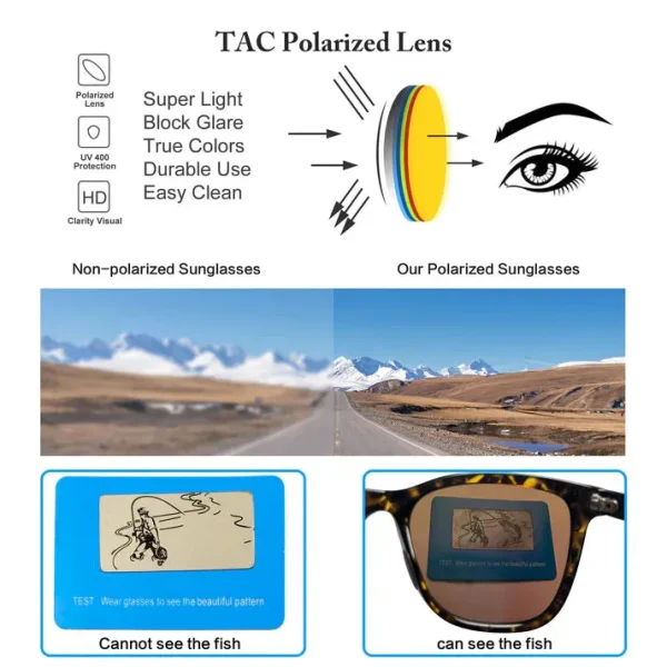 Retro Cat Eye Sunglasses · Blue Danube JF169 - Image 5